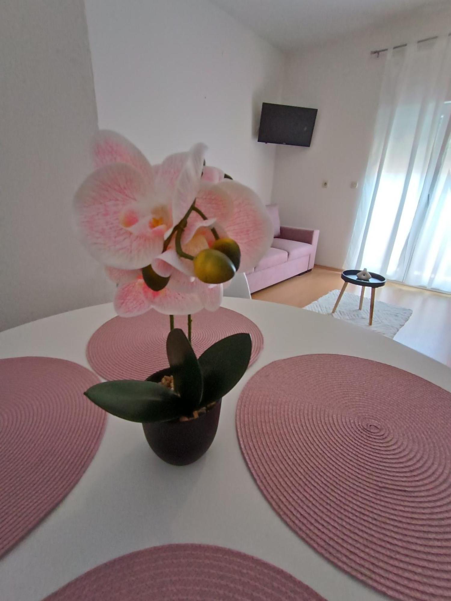 Apartman Lea Sukošan Exterior foto